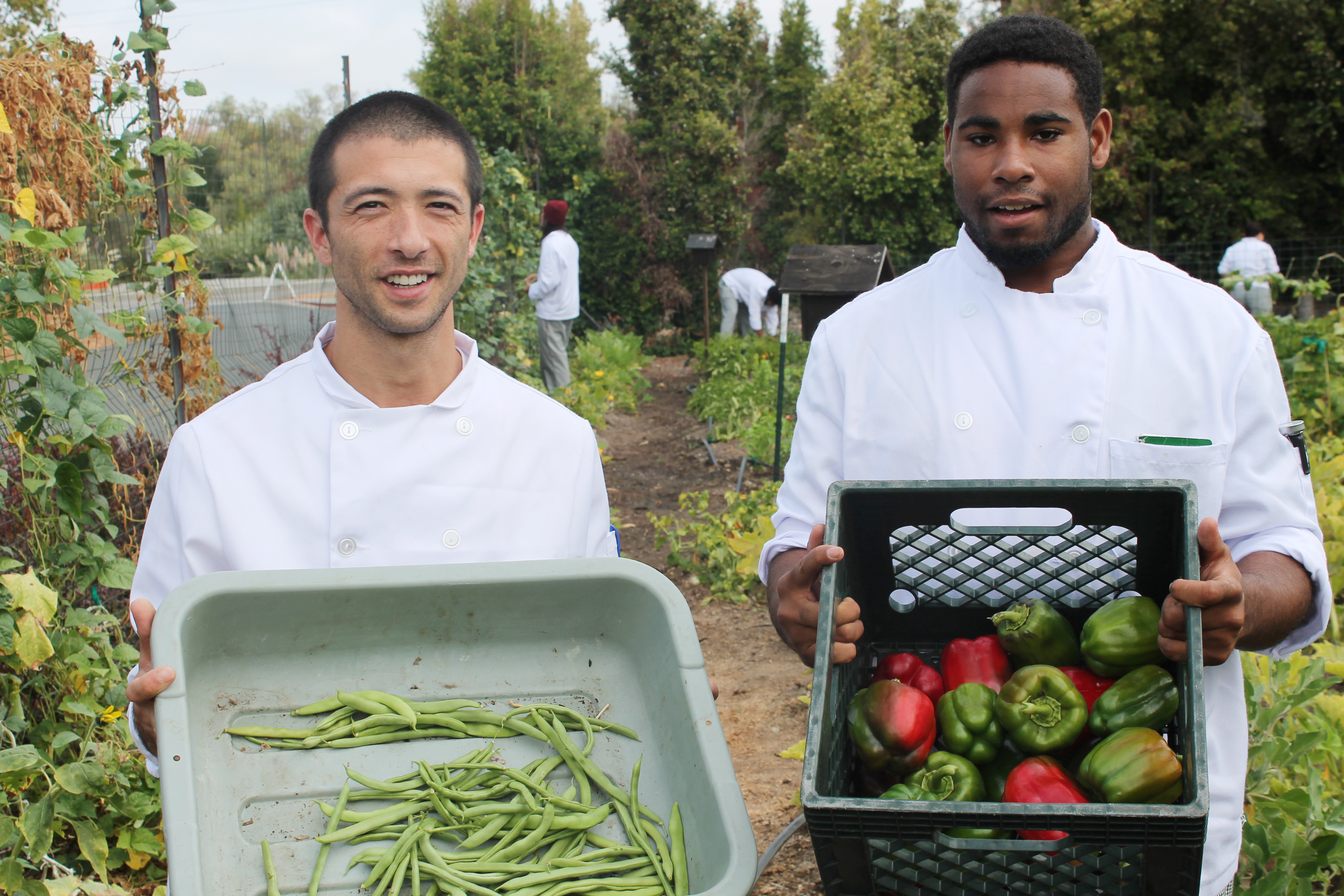 Photo of two members in white jackets holding trays of green beans and peppers.