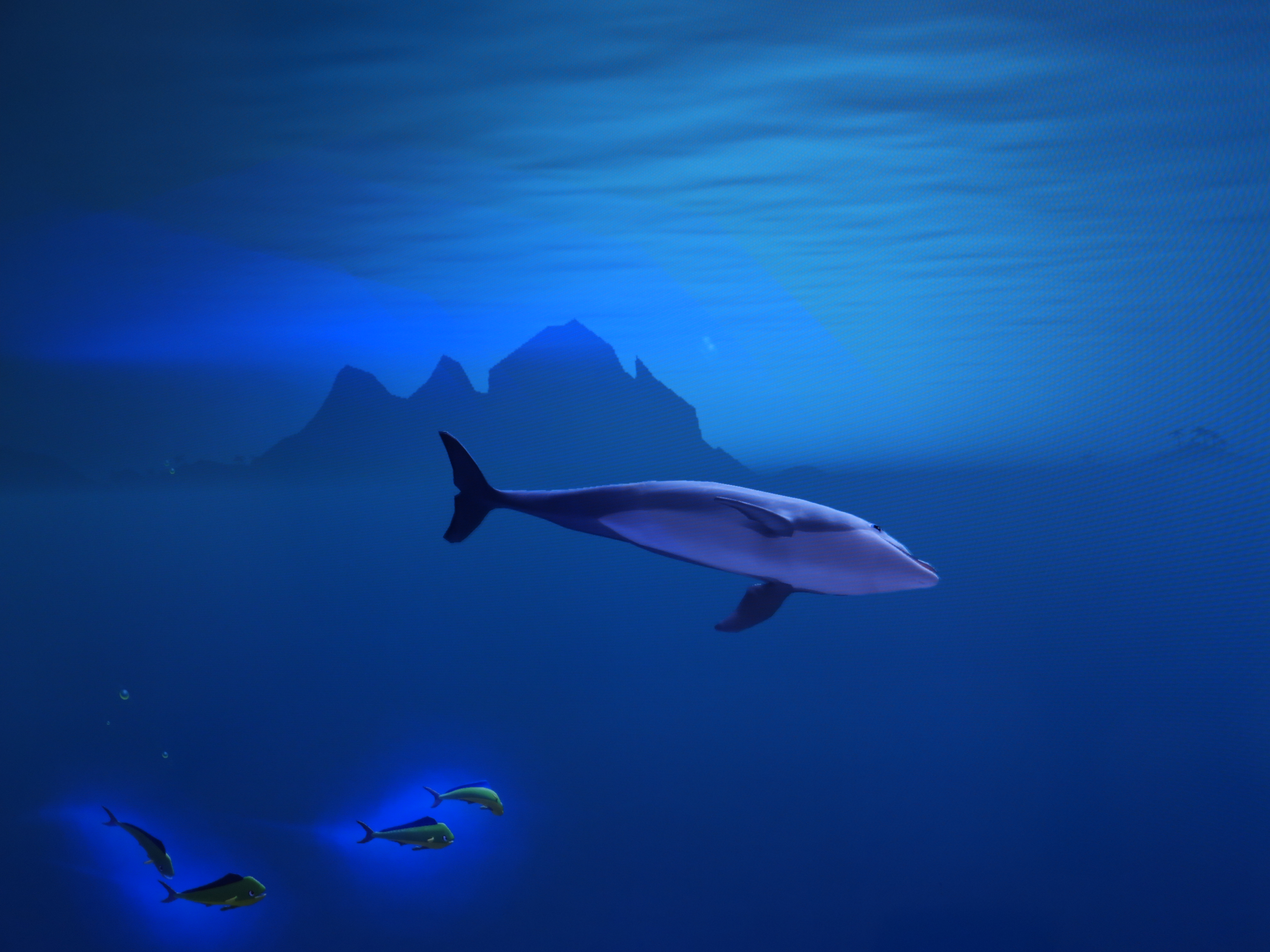Image of a dolphin in the foreground and, in the background, more smaller ones and other undersea elements, all in shades