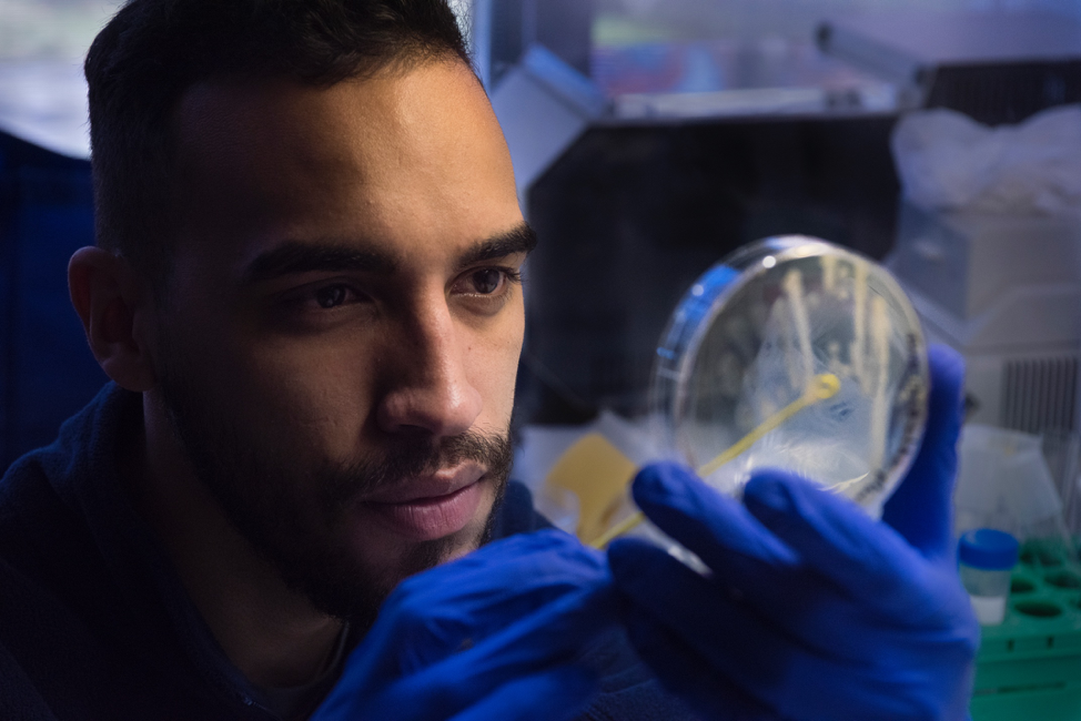 Photo of a student wearing blue rubber gloves and peering through a magnifying glass.