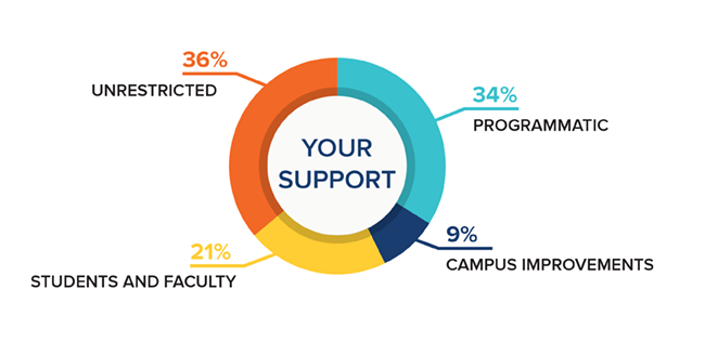 Graphic breakdown of what Big Give supported.