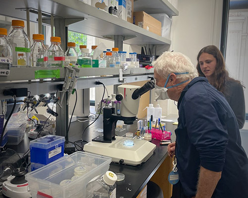 Photo of a man with white hair and blue sweatshirt looking in a microscope as a student looks on.