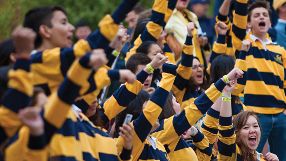 A photo of committee members in bold blue-and-gold striped jerseys cheering on the Golden Bears.