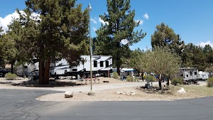 Pine Tree RV Park campground near Fawnskin, California