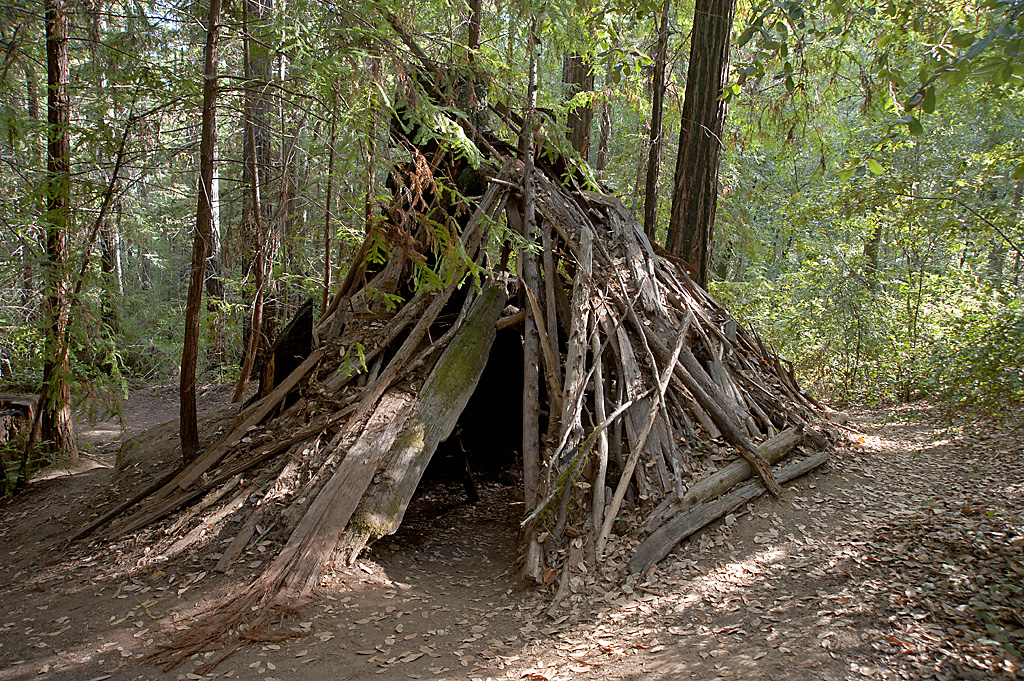 Azalea Campground campground at Hendy Woods SP, California