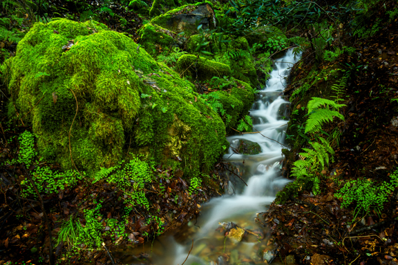 Boat-In Sites 1-16 campsite photo 8 - Auburn SRA, California
