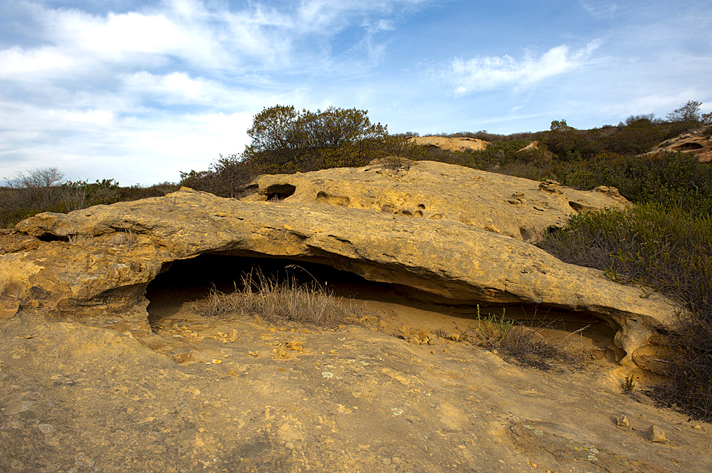 Deer Canyon campsite photo 1 - Crystal Cove SP Moro Campground, California
