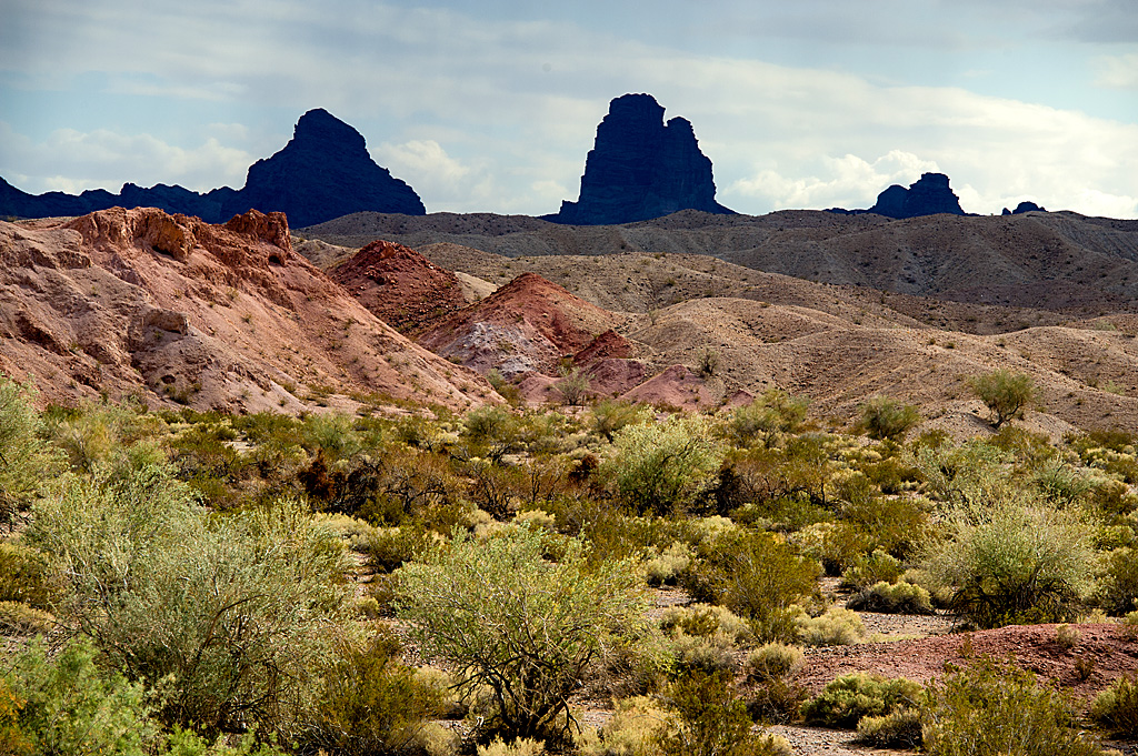 Drive-In Group Site campsite photo 7 - Picacho SRA, California