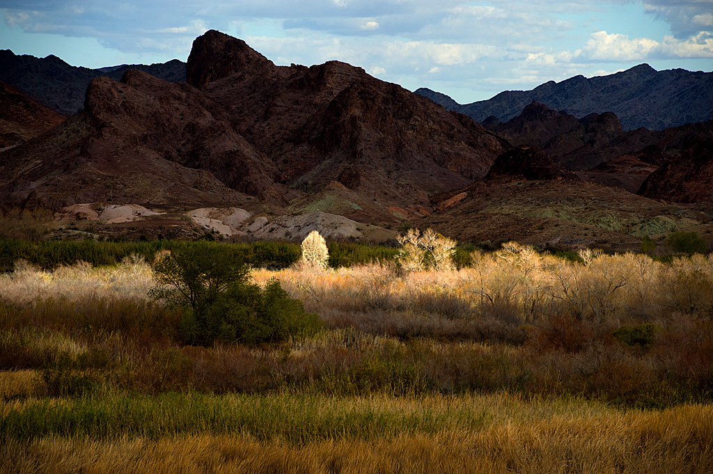 Drive-In Group Site campsite photo 5 - Picacho SRA, California