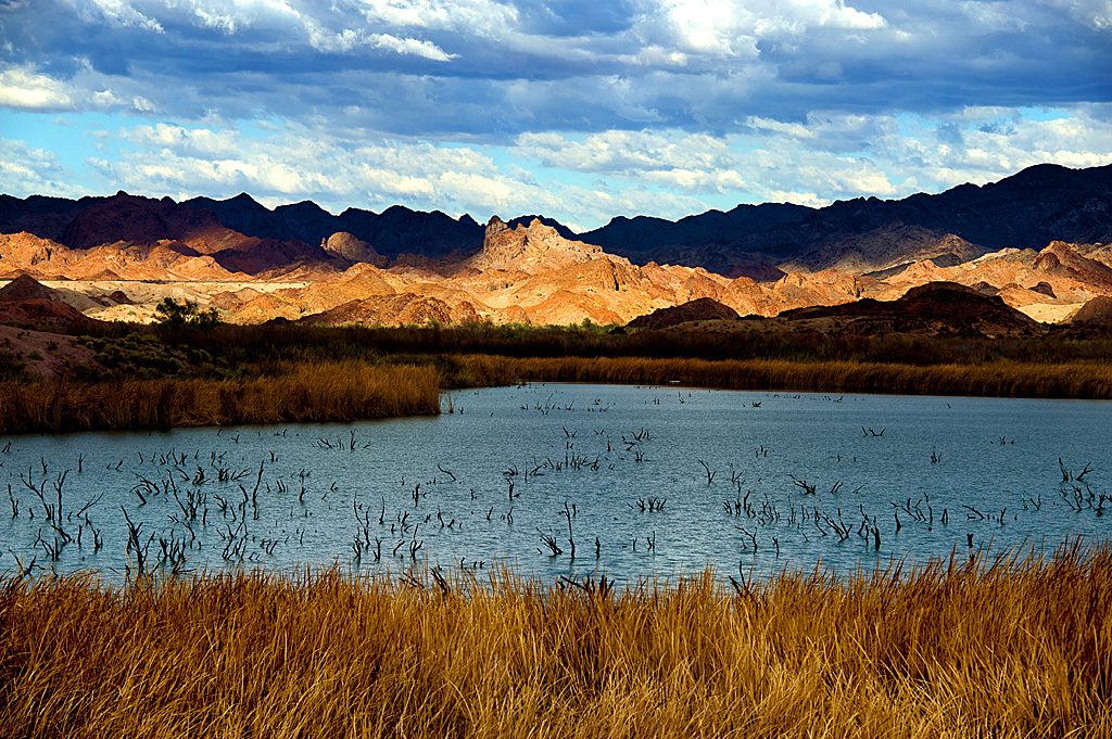 Drive-In Group Site campsite photo 4 - Picacho SRA, California