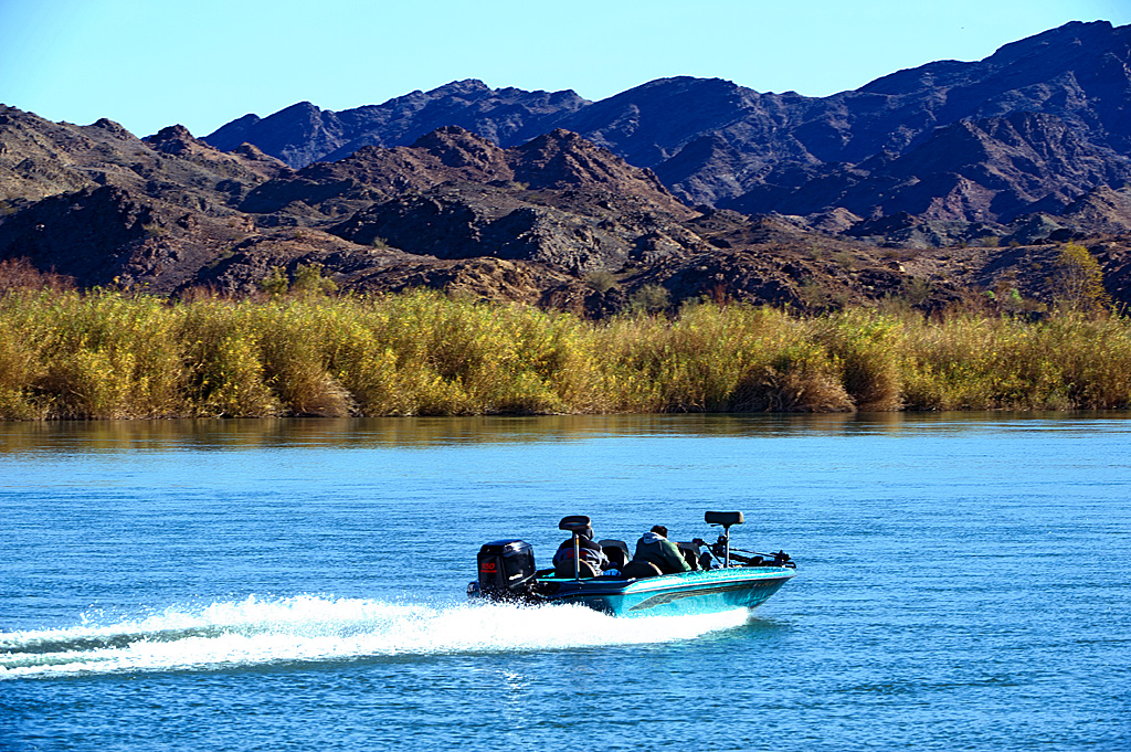 Drive-In Group Site campsite photo 2 - Picacho SRA, California