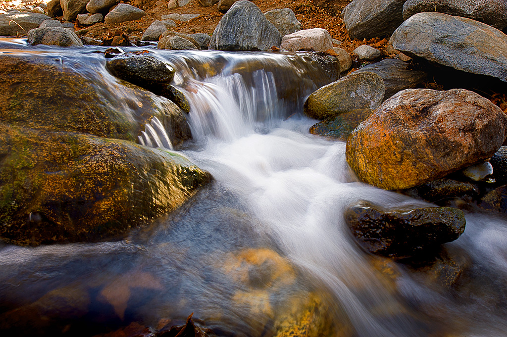 Group Camping Area campsite photo 2 - Silverwood Lake SRA, California