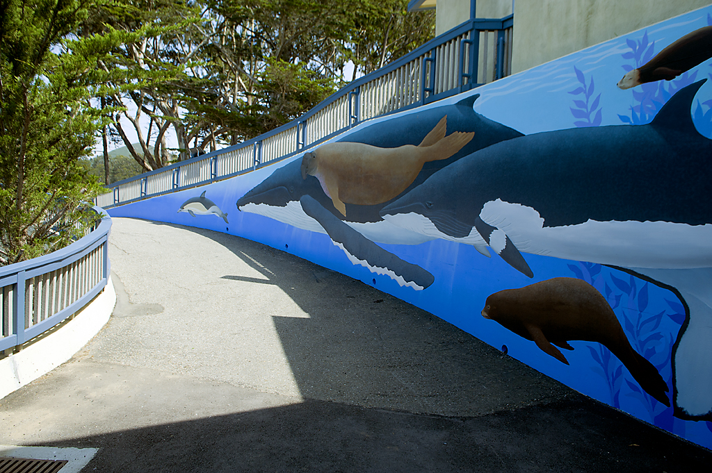 Group Sites campground near Morro Bay, California