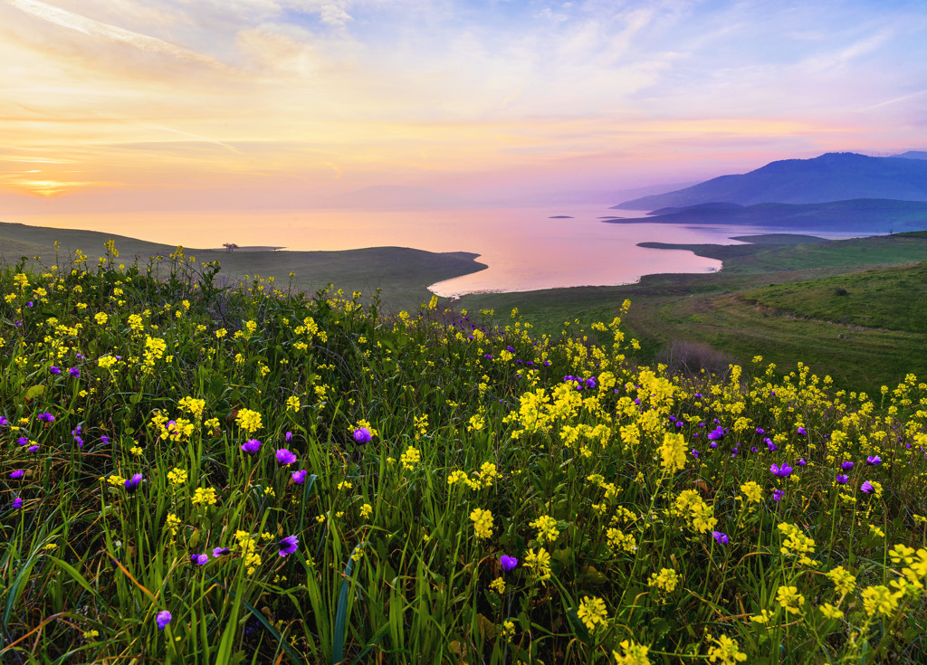 Group Sites campsite photo 8 - San Luis Reservoir SRA, California