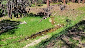 Cabin Loop campsite photo 5 - Lafayette Blue Springs State Park, Florida
