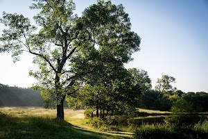 Canebreak campsite photo 6 - Stephen Foster Folk Culture Center State Park, Florida