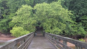 Loop B  campsite photo 3 - Rainbow Springs State Park, Florida