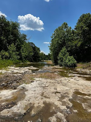 Loop 2 campsite photo 2 - Grayton Beach State Park, Florida