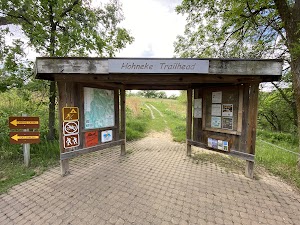 Loop A campsite photo 4 - Ross Prairie Trailhead and Campground, Florida