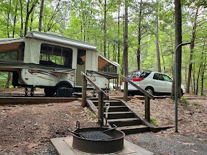 Loop A campground near Bokeelia, Florida
