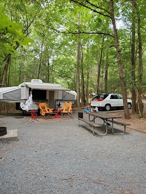 Loop A campsite photo 2 - Dr. Julian G. Bruce St. George Island State Park, Florida