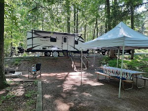 Loop A campsite photo 4 - Dr. Julian G. Bruce St. George Island State Park, Florida