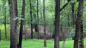 Loop B campsite photo 2 - Collier-Seminole State Park, Florida