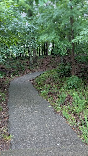 Loop B campsite photo 6 - Collier-Seminole State Park, Florida
