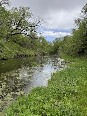 Loop CABI campsite photo 5 - Suwannee River State Park, Florida