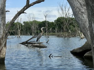 Loop EQU campsite photo 5 - Kissimmee Prairie Preserve State Park, Florida