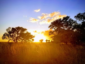Loop FAM campsite photo 4 - Kissimmee Prairie Preserve State Park, Florida