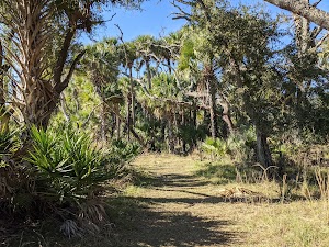 Loop FAM campsite photo 5 - Kissimmee Prairie Preserve State Park, Florida
