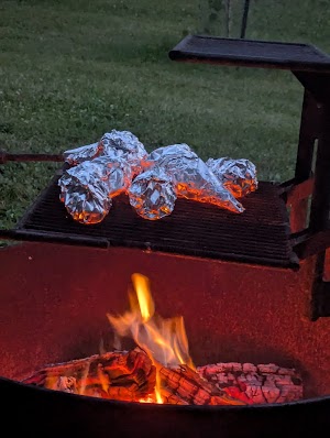 Loop LAL campsite photo 3 - Alafia River State Park, Florida