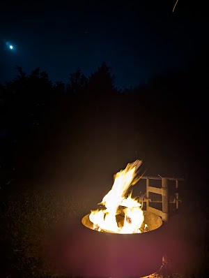 Loop LAL campsite photo 4 - Alafia River State Park, Florida