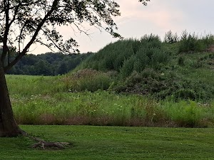 Loop LMRE campsite photo 6 - Little Manatee River State Park, Florida