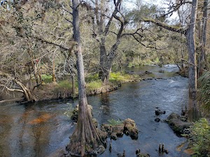 Loop LP3 campground near Thonotosassa, Florida