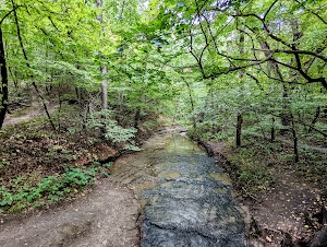 Loop MAGN campsite photo 4 - Blackwater River State Park, Florida