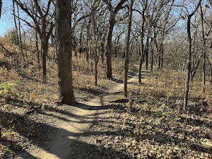 Loop MAGN campsite photo 5 - Blackwater River State Park, Florida