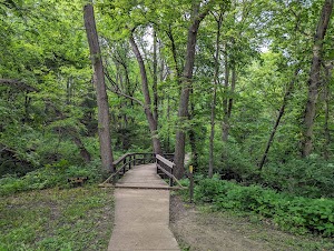 Loop MAGN campsite photo 6 - Blackwater River State Park, Florida