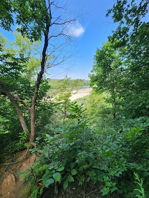 Loop P campsite photo 2 - Ross Prairie Trailhead and Campground, Florida