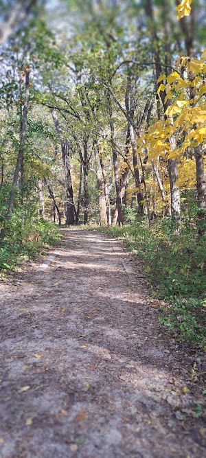 Loop P campsite photo 3 - Ross Prairie Trailhead and Campground, Florida