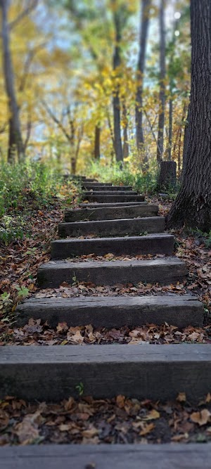 Loop P campsite photo 6 - Ross Prairie Trailhead and Campground, Florida