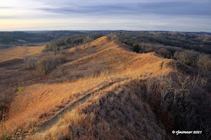 Loop PPCG campground at Paynes Prairie Preserve State Park, Florida