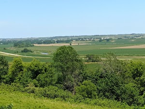 Loop PPCG campsite photo 3 - Paynes Prairie Preserve State Park, Florida