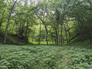 Loop PPCG campsite photo 4 - Paynes Prairie Preserve State Park, Florida