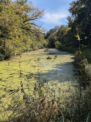 Loop PPCG campsite photo 6 - Paynes Prairie Preserve State Park, Florida