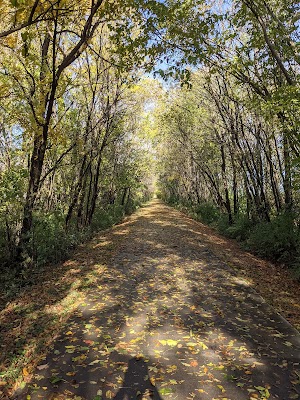 Loop RIVR campsite photo 5 - Fort Clinch State Park, Florida
