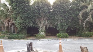 Suwannee campsite photo 6 - Stephen Foster Folk Culture Center State Park, Florida