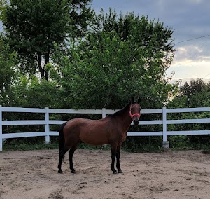 Equestrian Group Use Areas campsite photo 2 - Lahontan State Recreation Area, Nevada