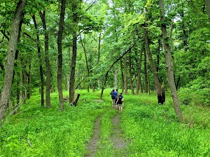 Group Use Areas campground near Carson City, Nevada