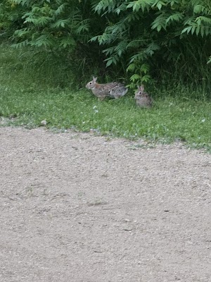 Upper Campground campsite photo 4 - Rye Patch State Recreation Area, Nevada